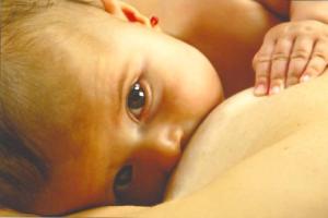 Recomendaciones de Lactancia Materna, Comite lm AEPED